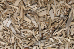 biomass boilers Rhyd Y Foel